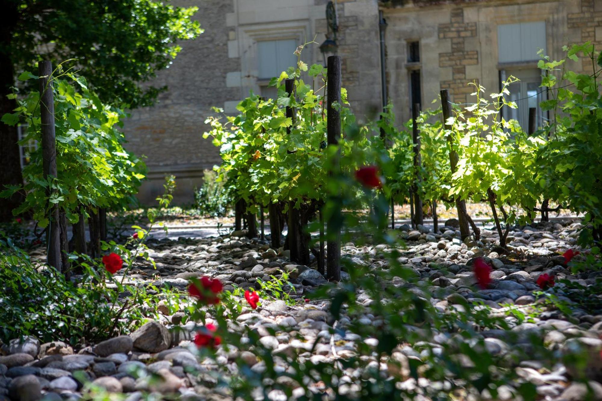 Domaine De Monrecour - Hotel & Restaurant - Proche De Sarlat Saint-Vincent-de-Cosse Esterno foto